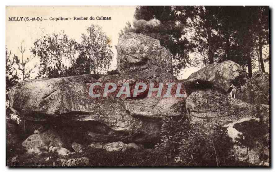CPA Milly S et O Coquibus rocher du Caiman 