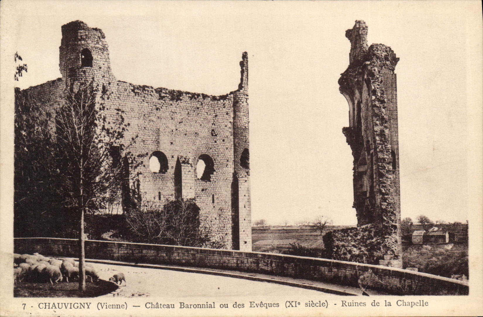 Chauvigny (Vienne) — Château Baronial ou des Évêques (XIe siècle) - Ruines de la Chapelle