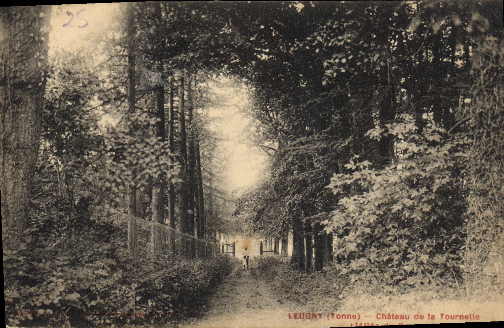 CPA Leugny Yonne Chateau de la Tournelle 