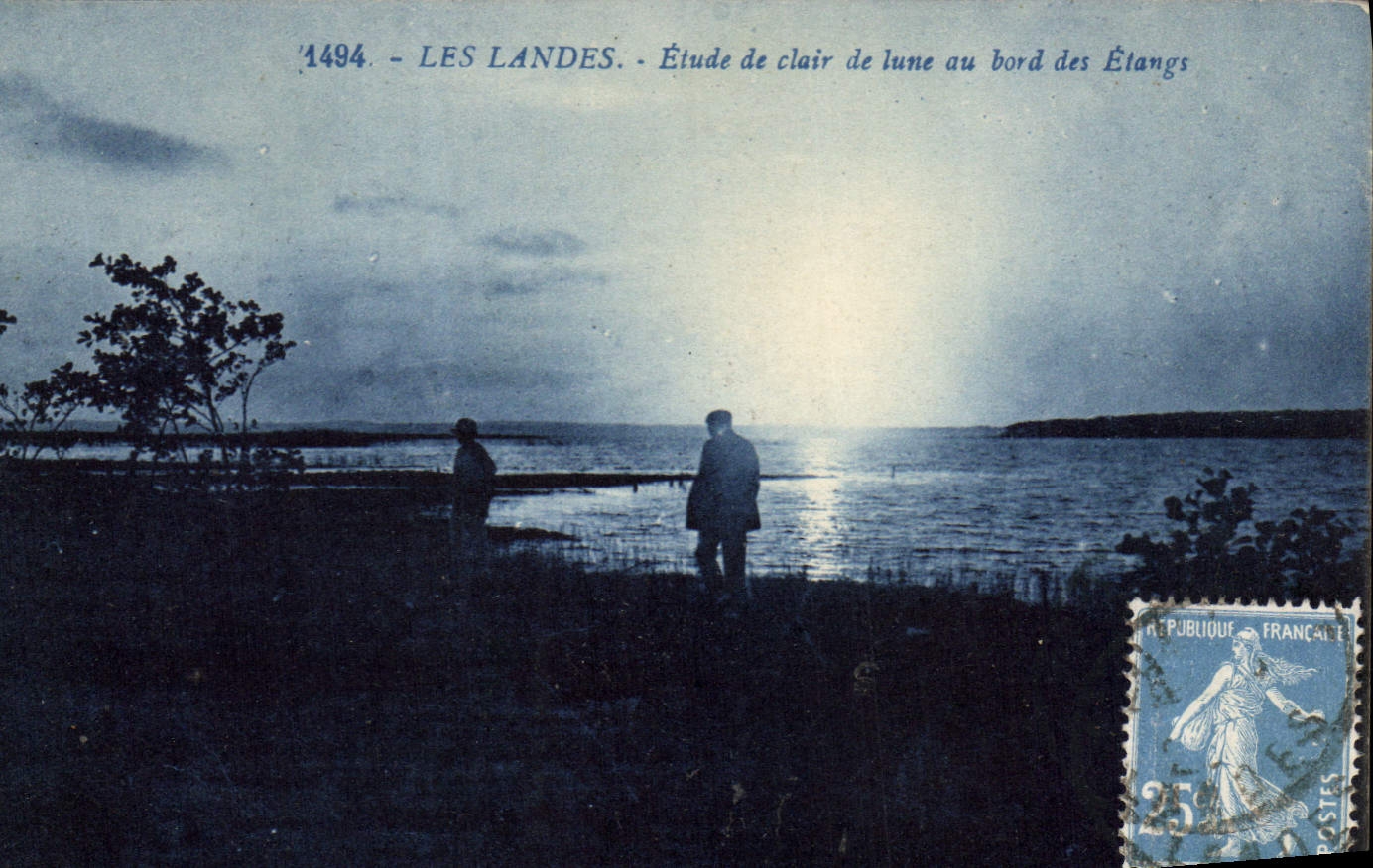CPA Les Landes Etude de clair de lune au bord des Etangs 