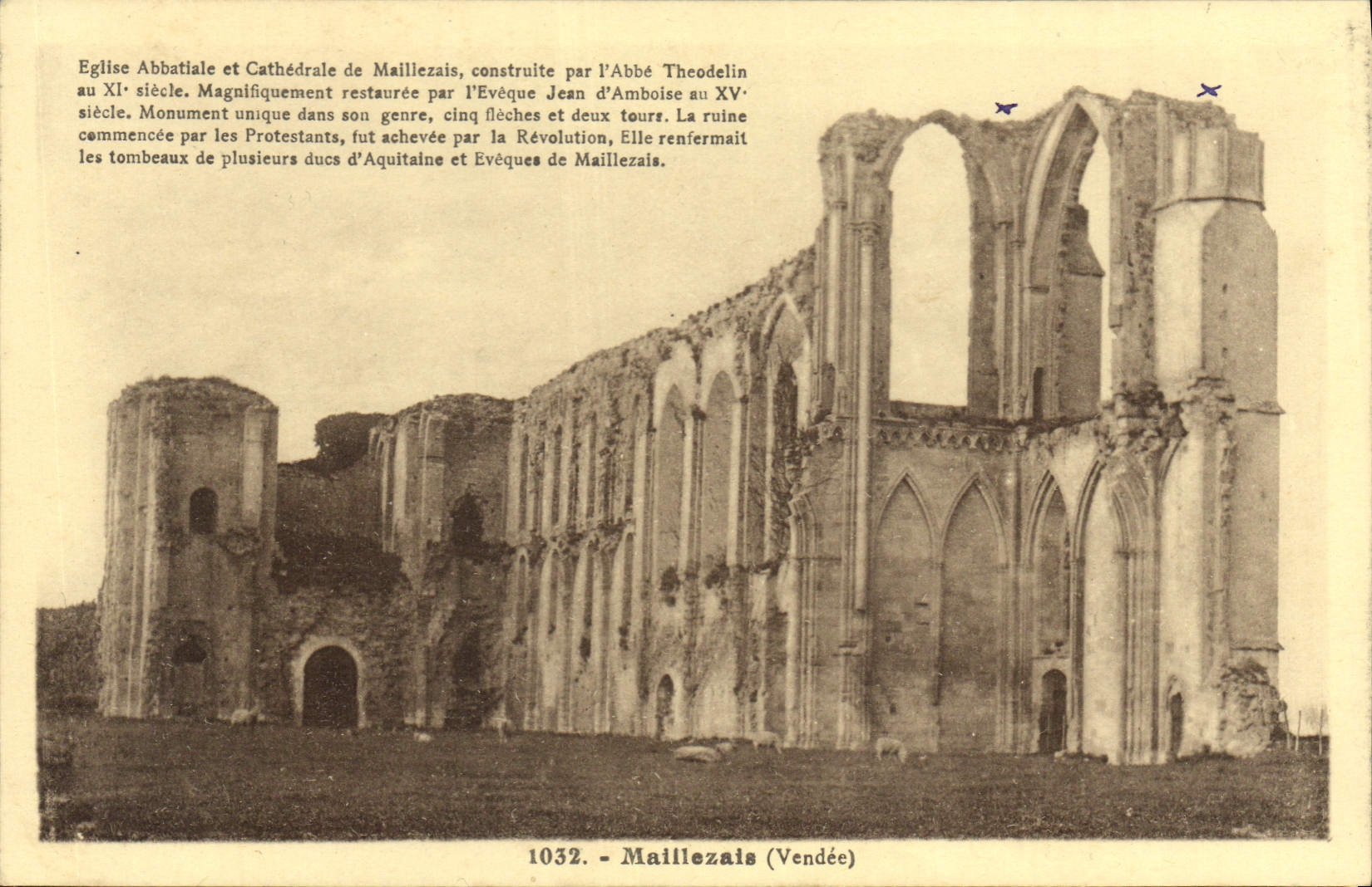 CPA Maillezais Vendee Eglise Abbatiale et Cathedrale de Maillezais 