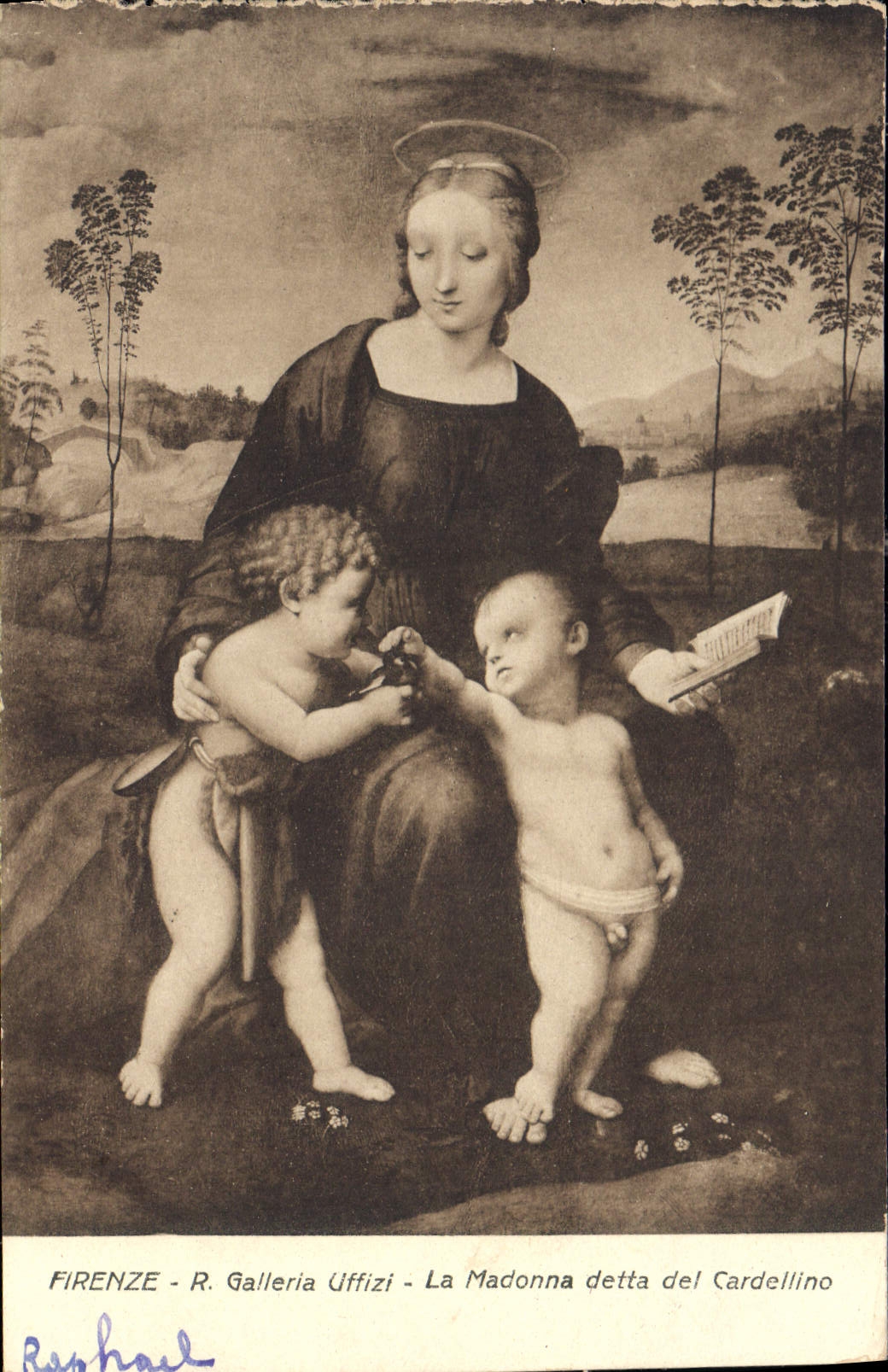CPA Firenze Galleria Uffizi La Madonna detta del Cardellino 
