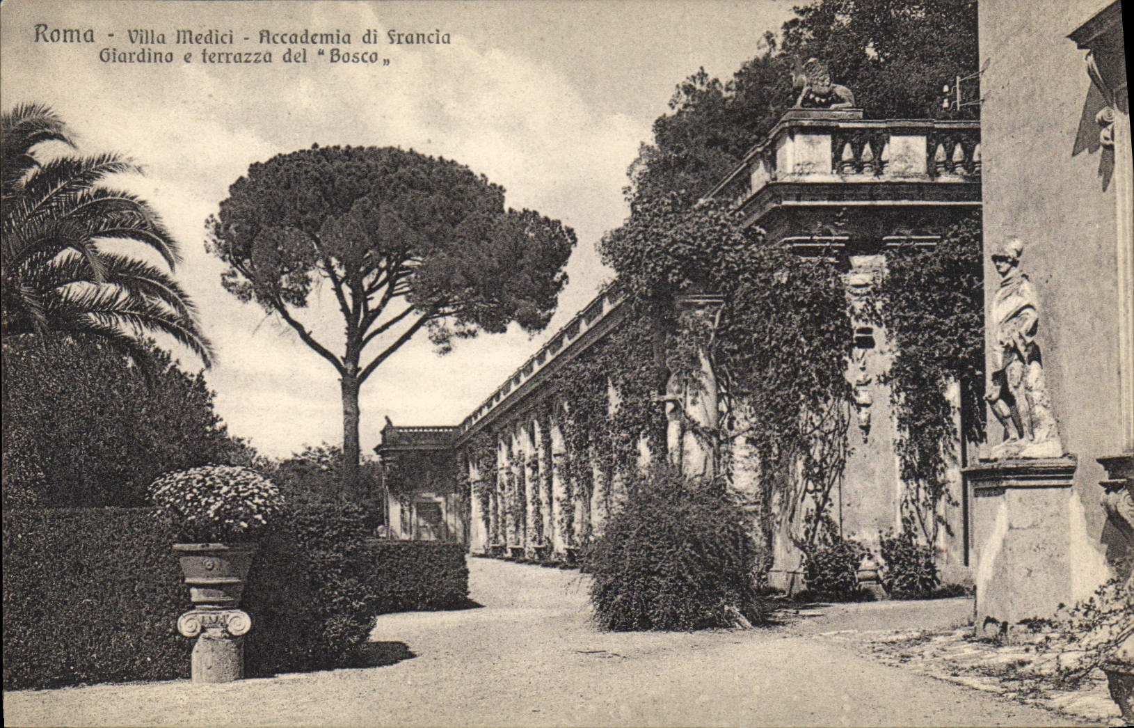 CPA Roma Villa Medici Accademia di Francia Giardino e terrasso del Bosco 