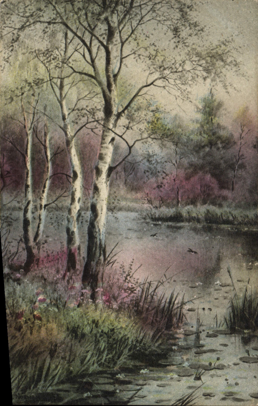 Forêts de bouleaux près d'un étang — Inter-ART Co., Florence House, Barnes, London — Série No. 5029