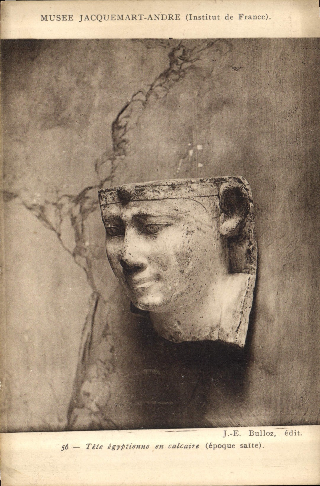 Tête égyptienne en calcaire — époque saïte — J.-E. Bulloz, édit.