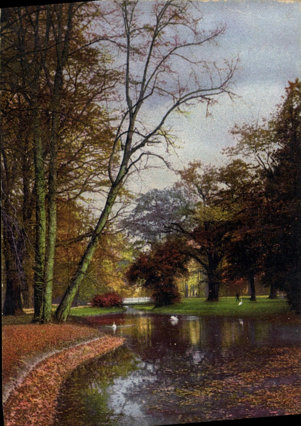 CPA Dresden Grober Garten im Herost 