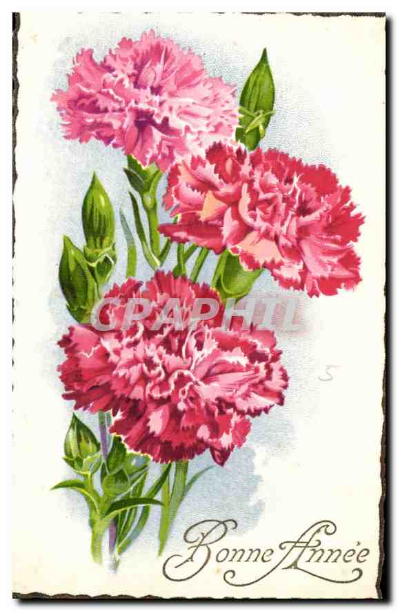 CPA Bonne Annee Fleurs