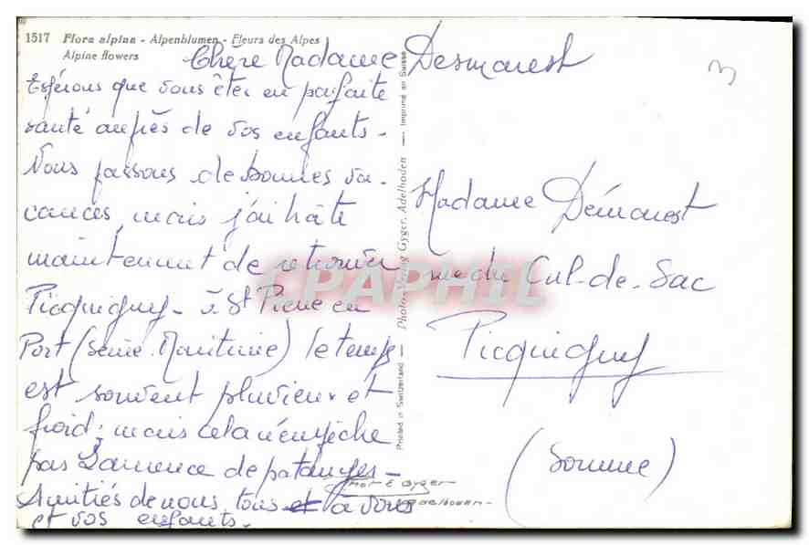 CPA Flora alpina Alpenblumen Fleura des Alpes  — Rückseite
