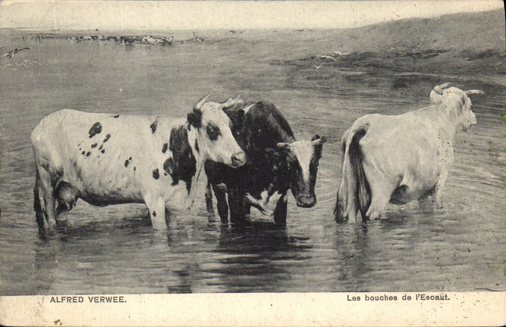 CPA Alfred Verwee Les bouches de l'Escalit 