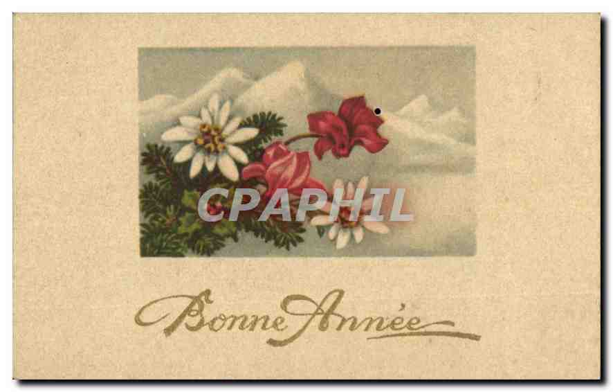 CPA Bonne Annee 