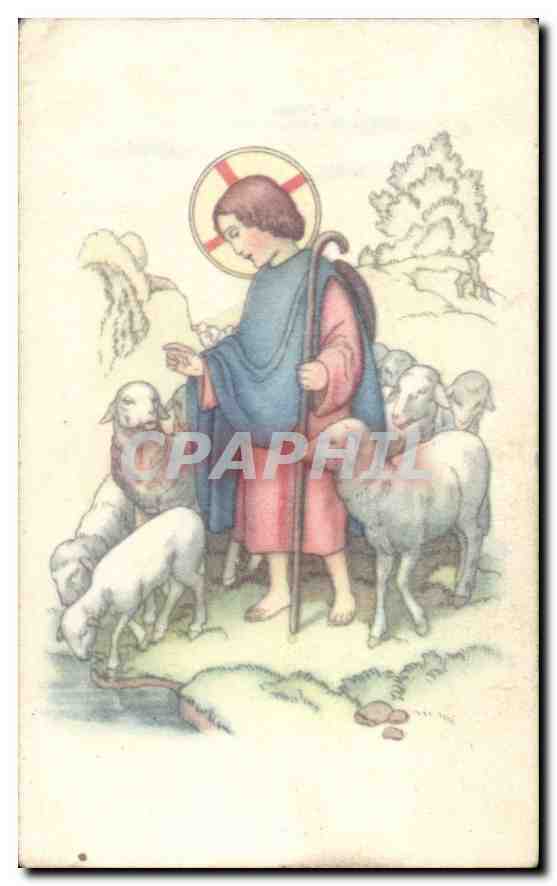 Image Berger Moutons