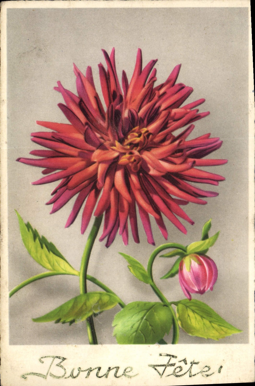 CPA Bonne Fete Fleurs