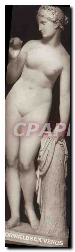 CPA Venus 