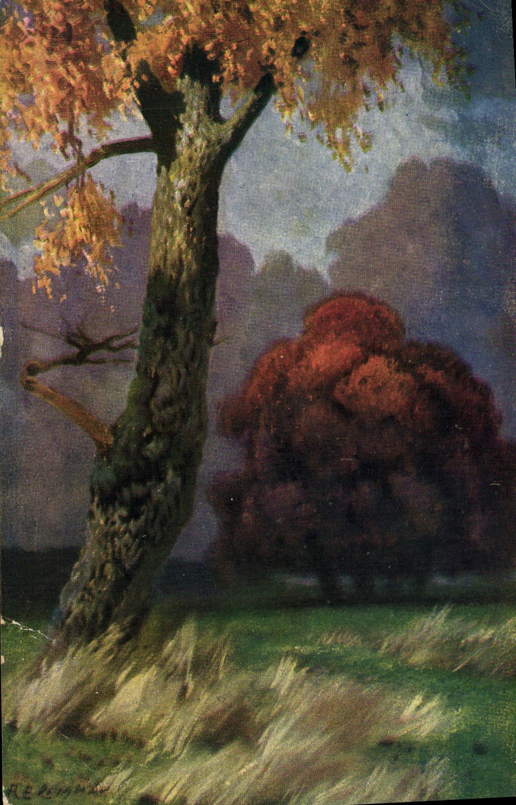 CPA Arbre