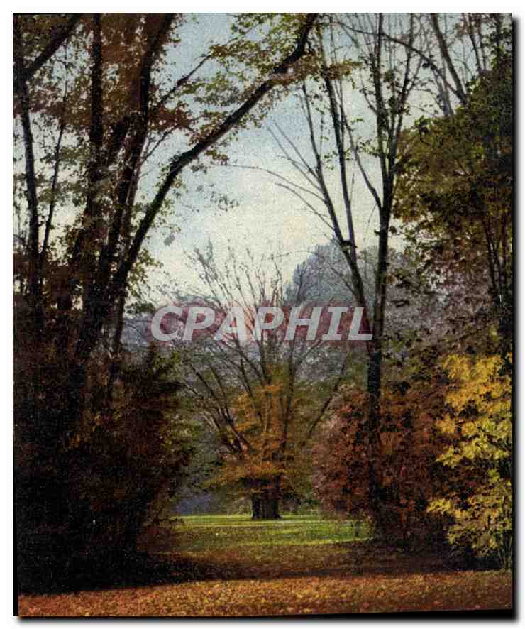 CPA Dresden Grosser Garten im Herbst 