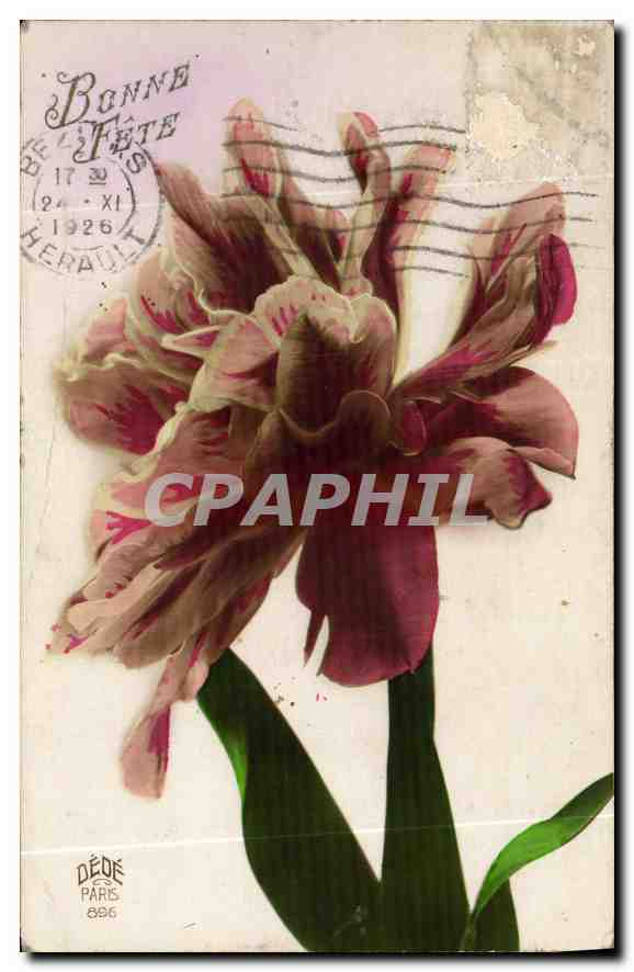 CPA Bonne Fete Fleurs