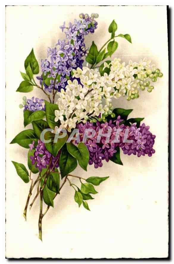 CPA Bonne et Heureux Fete Fleurs