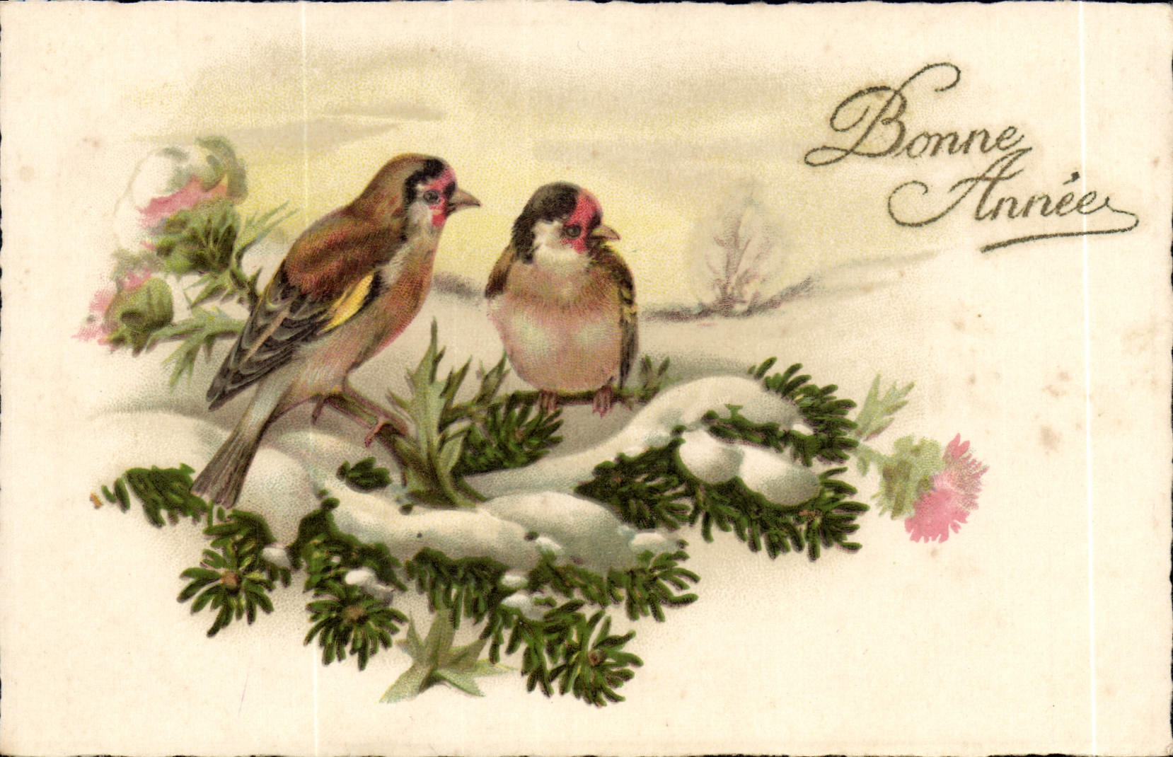 CPA Bonne Annee Oiseaux