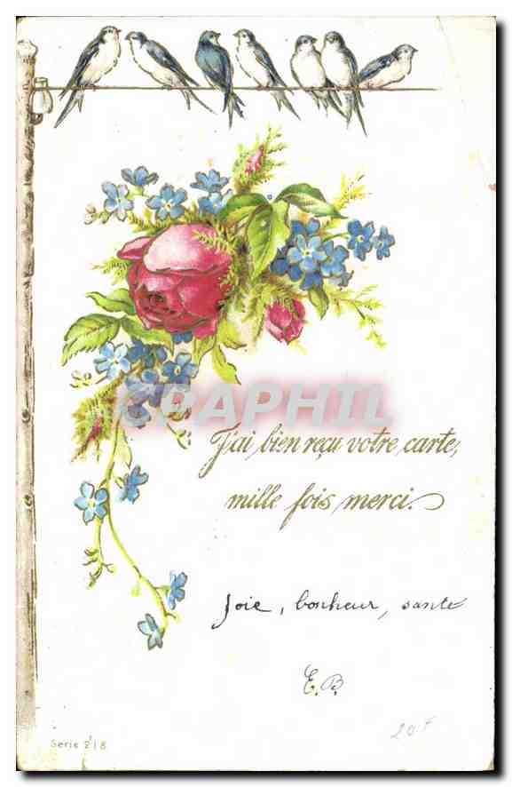 CPA Fai Bien recu votre carte mille fois merci Fleurs Oiseaux