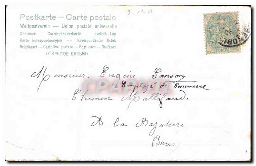 CPA Fai Bien recu votre carte mille fois merci Fleurs Oiseaux — Verso