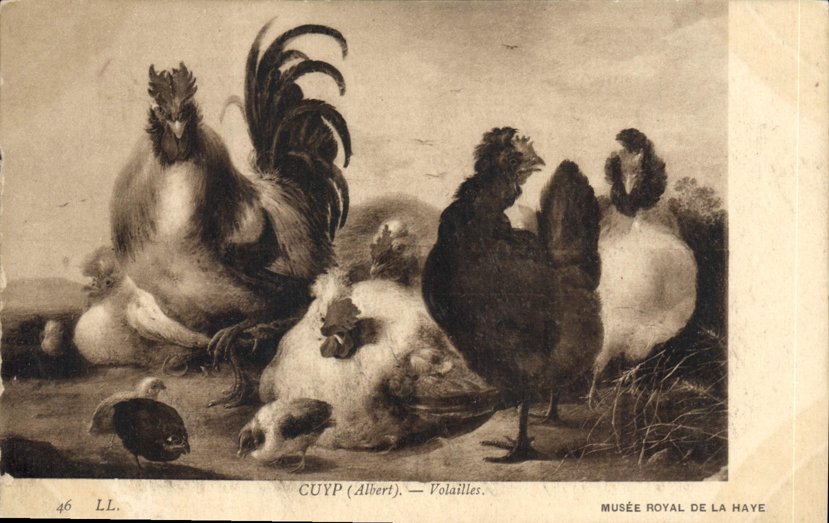 CPA Cuyp Albert Volailles Musee Royal de la Haye Poules