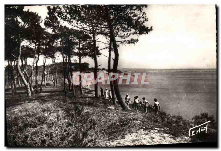 CPM entre la Tranche sur Mer et la Faute sur Mer Le Belle Henriette