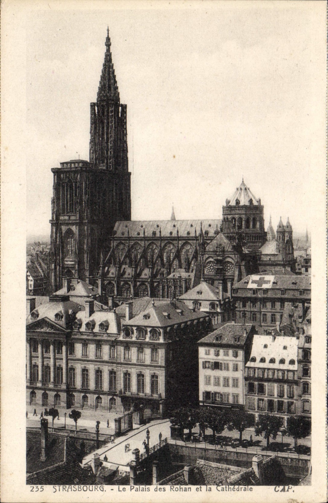 CPA Strasbourg Le Palais des Rohan et la Cathedrale 