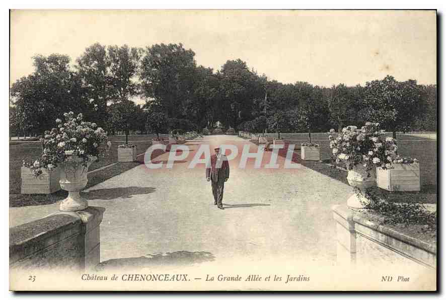 CPA Chateau de Chenonceaux La Grande Allee et les Jardins 