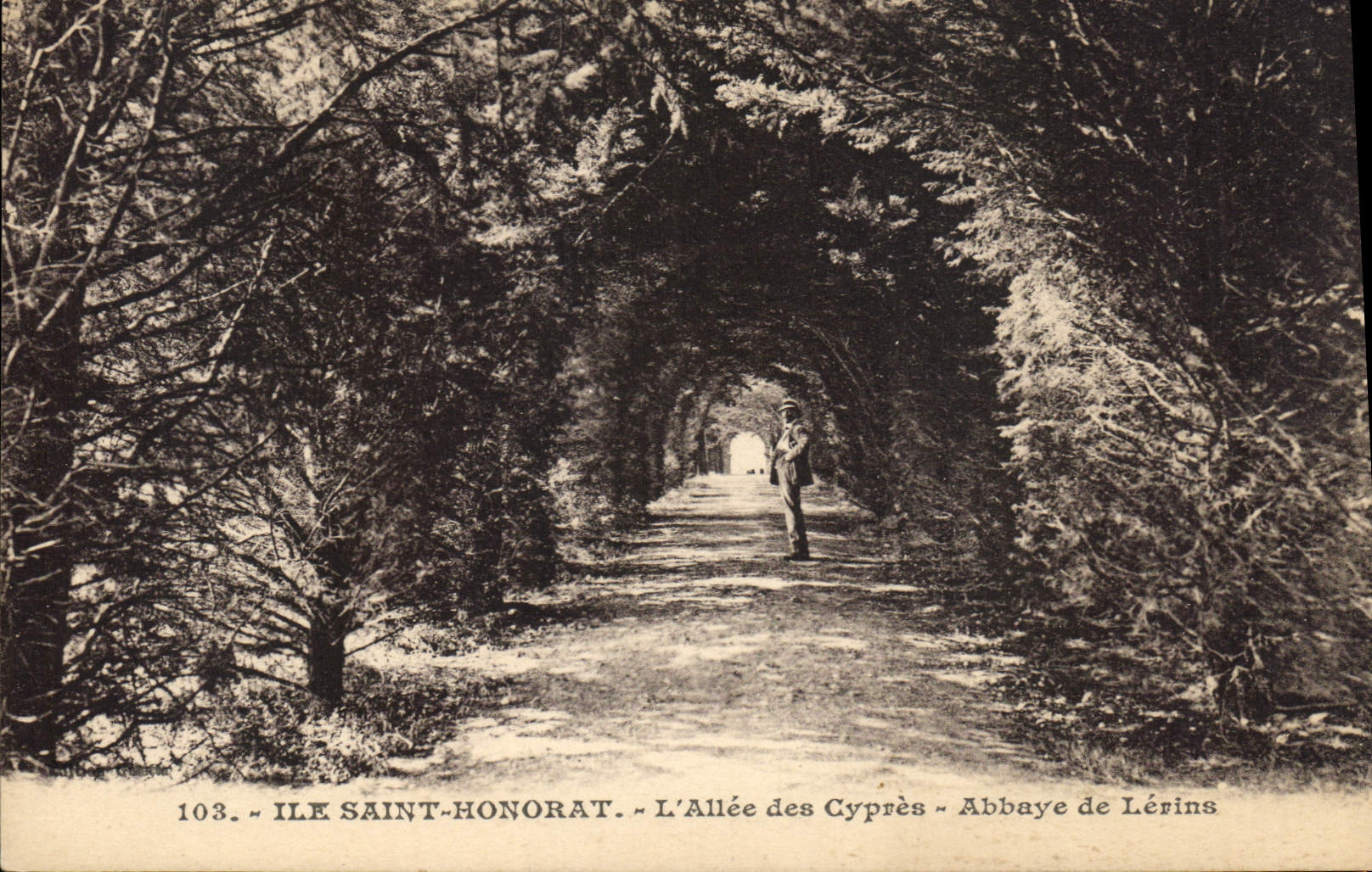 Ile Saint-Honorat — L'Allée des Cyprès — Abbaye de Lérins