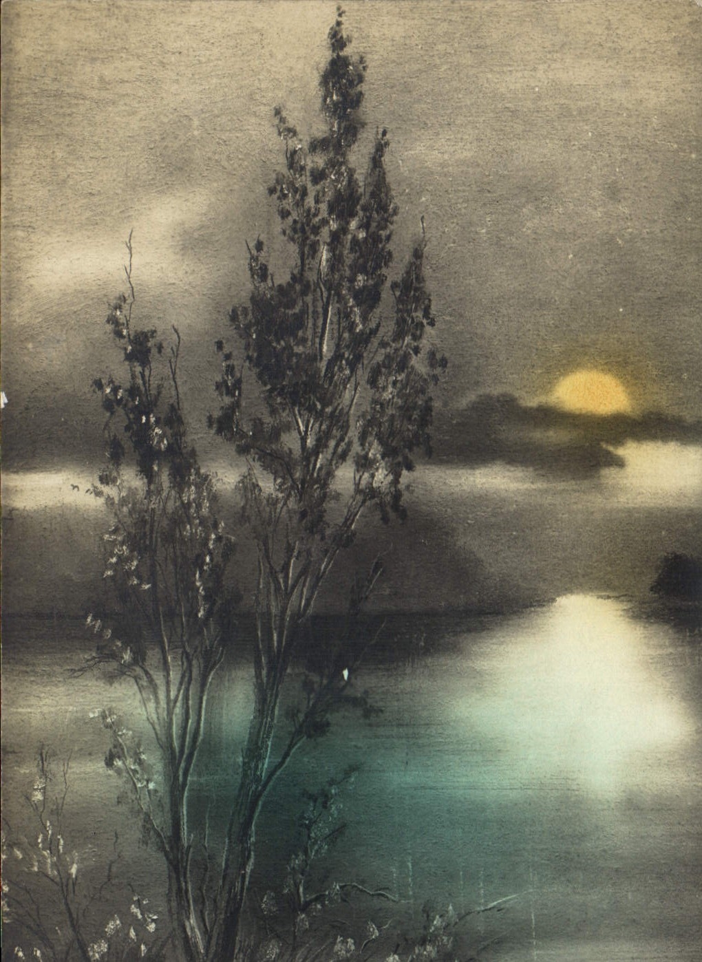 Paysage nocturne — arbre au bord d'un lac — édition CPAPHIL - Anverso