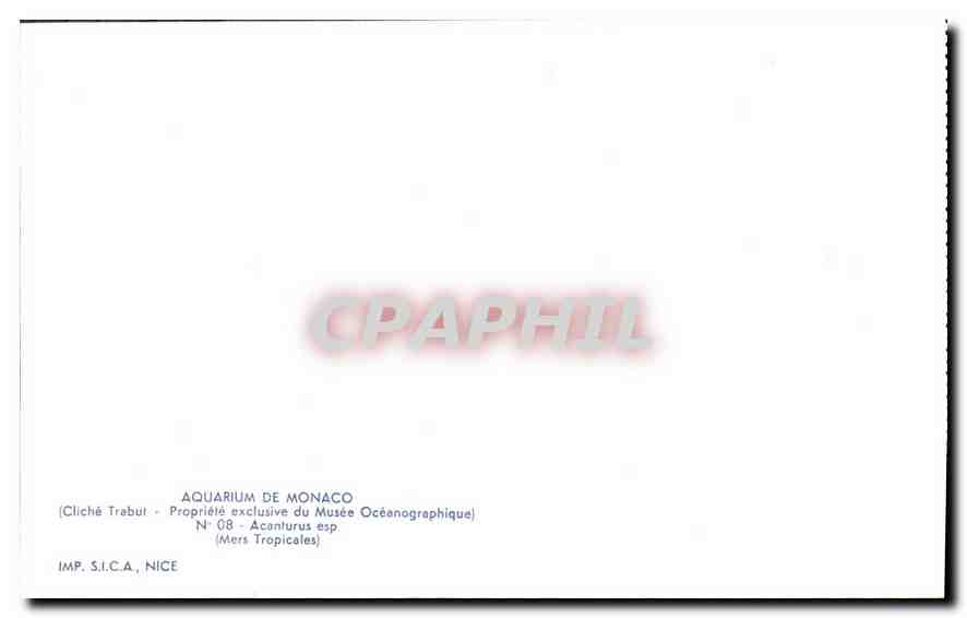 CPA Aquarium de Monaco Cliche Trabut Propriete exclusive du Musee Oceanographique Acanturus esp Mers — Verso