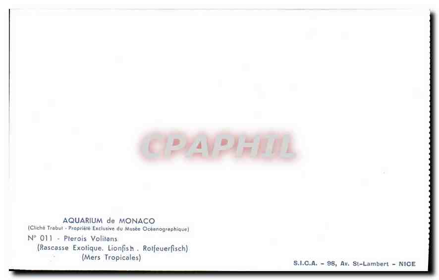 CPA Aquarium de Monaco Cliche Trabut Propriete exclusive du Musee Oceanographique Pterois Exotique L — Rückseite