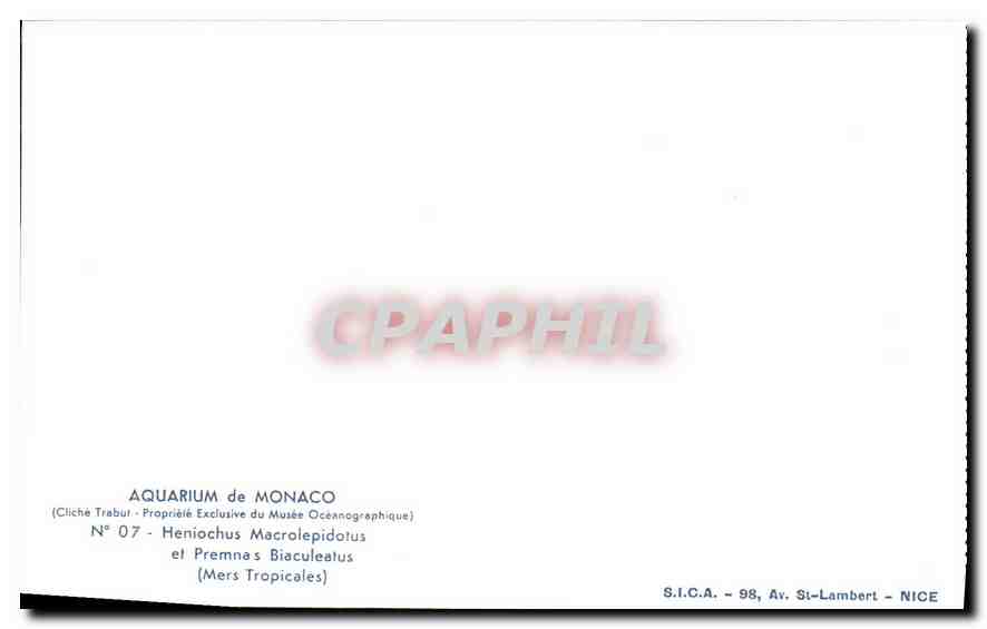 CPA Aquarium de Monaco Cliche Trabut Propriete exclusive du Musee Oceanographique Heniochus Macrolep — Verso