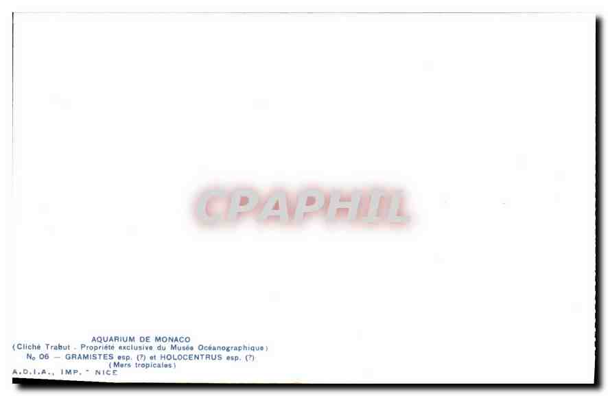 CPA Aquarium de Monaco Cliche Trabut Propriete exclusive du Musee Oceanographique Gramistes esp et H — Rückseite