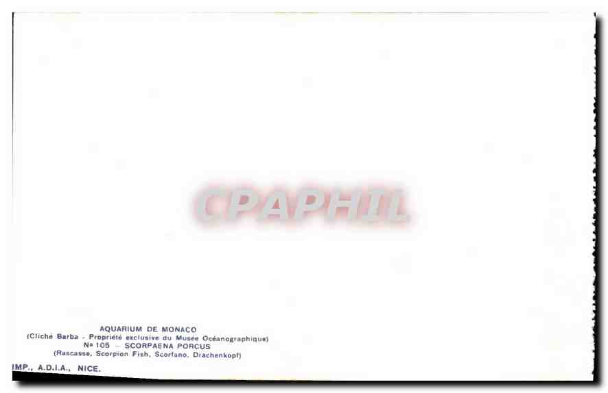 CPA Aquarium de Monaco Cliche Barba Propriete exclusive du Musee Oceanographique Scorpaena Porcus Po — Verso