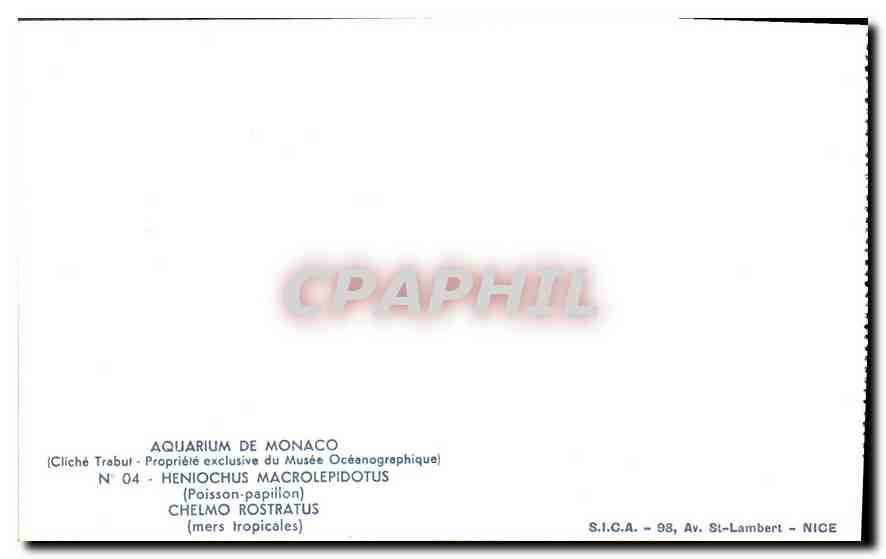 Poissons-papillons — Aquarium de Monaco — S.I.C.A. - 98, Av. St-Lambert - NICE — Verso