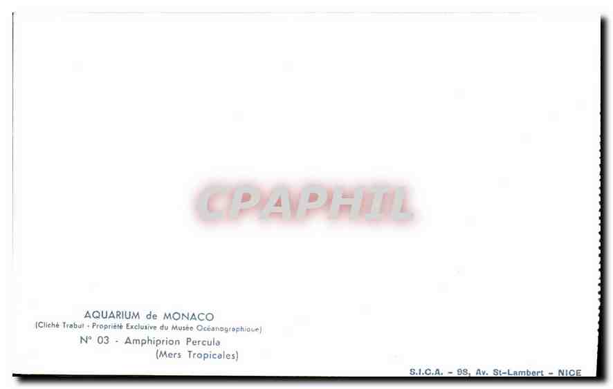 Aquarium de Monaco — Amphiprion Percula — S.I.C.A. Av. St-Lambert, Nice — Verso