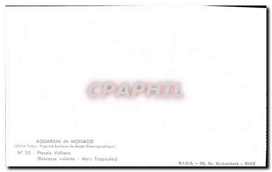 CPA Aquarium de Monaco Cliche Trabut Propriete exclusive du Musee Oceanographique Pterois Volitans R — Rückseite