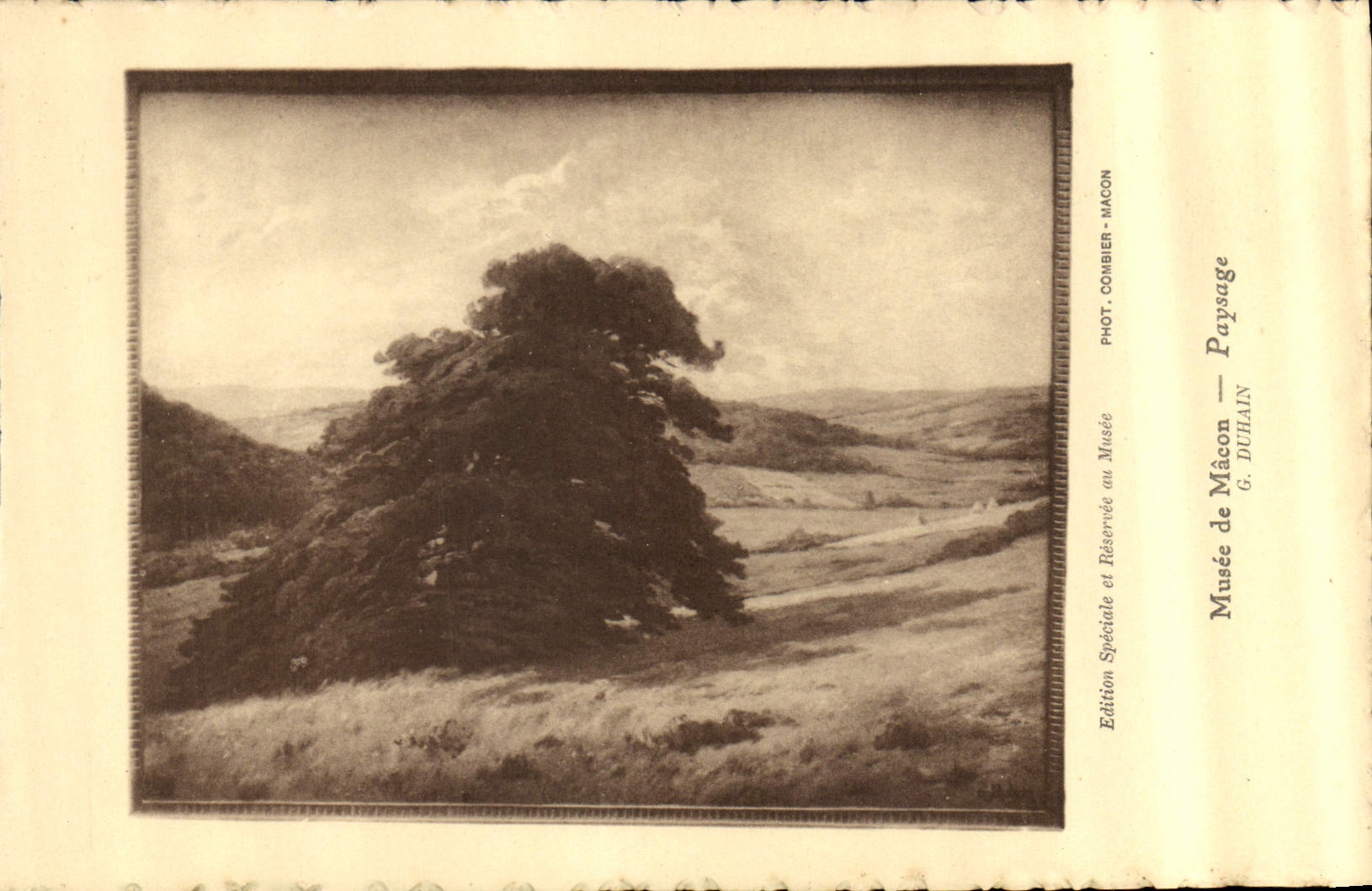 Paysage — Arbre solitaire dans un paysage montagneux — Édition Spéciale du Musée de Mâcon, Phot. Combier - Mâcon