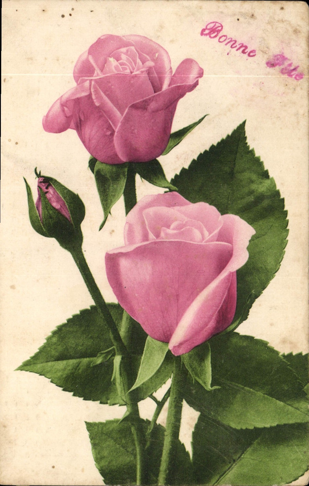 CPA Bonne Fete Fleurs