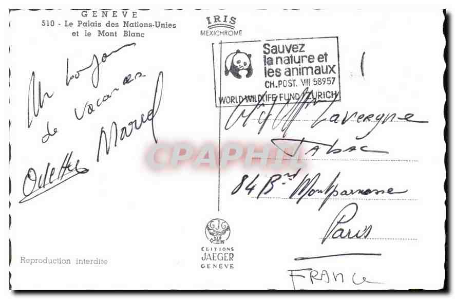 CPA Geneve Le Palais des Nations Unies et le Mont Blanc  — Verso
