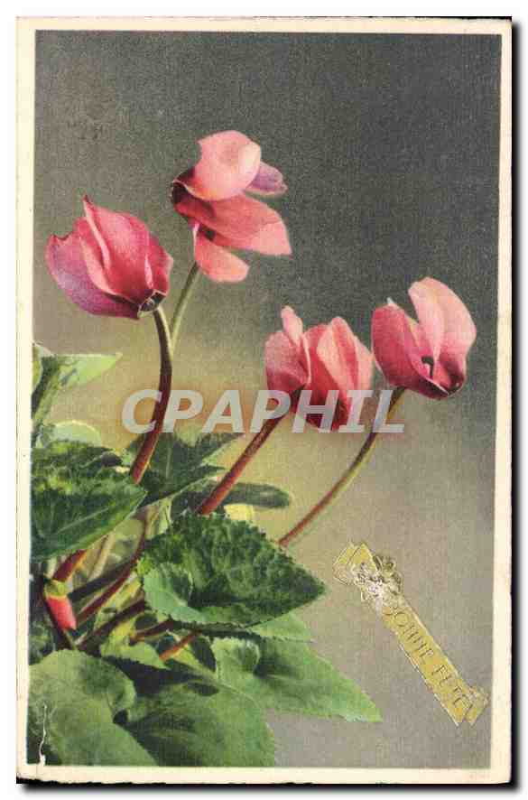 CPA Bonne fete Fleurs