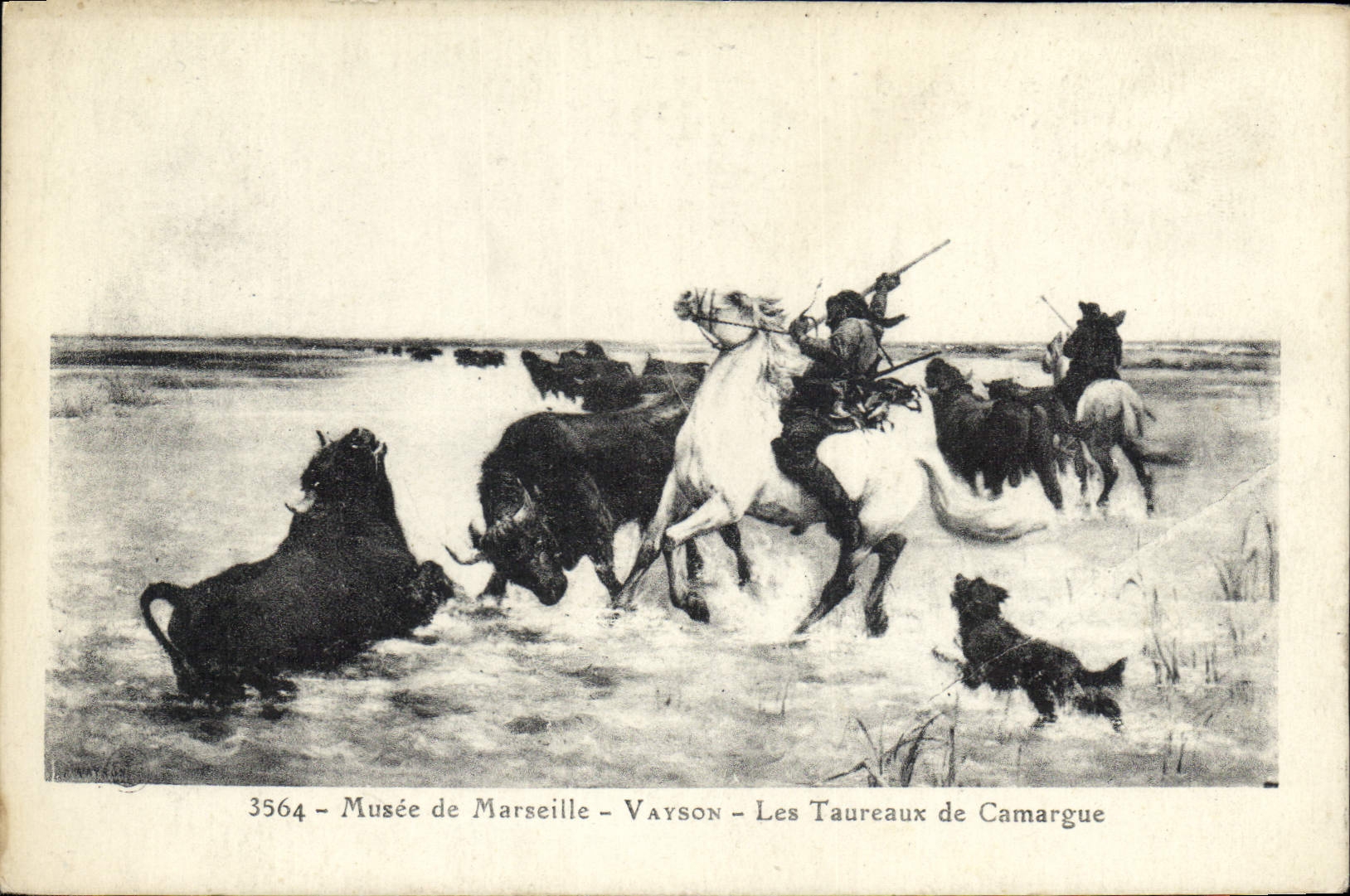 CPA Musee de Marseille Vayson Les Taureaux de Camargue  Chien