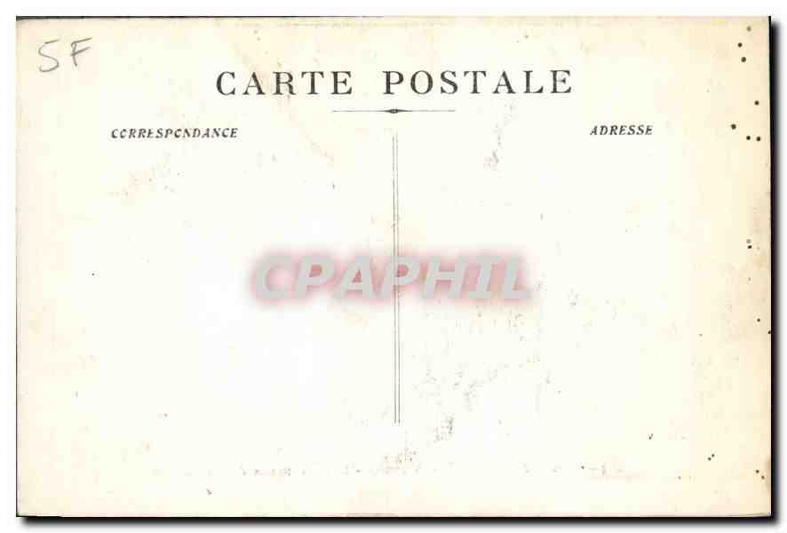 CPA Musee de Marseille Vayson Les Taureaux de Camargue  Chien — Rückseite