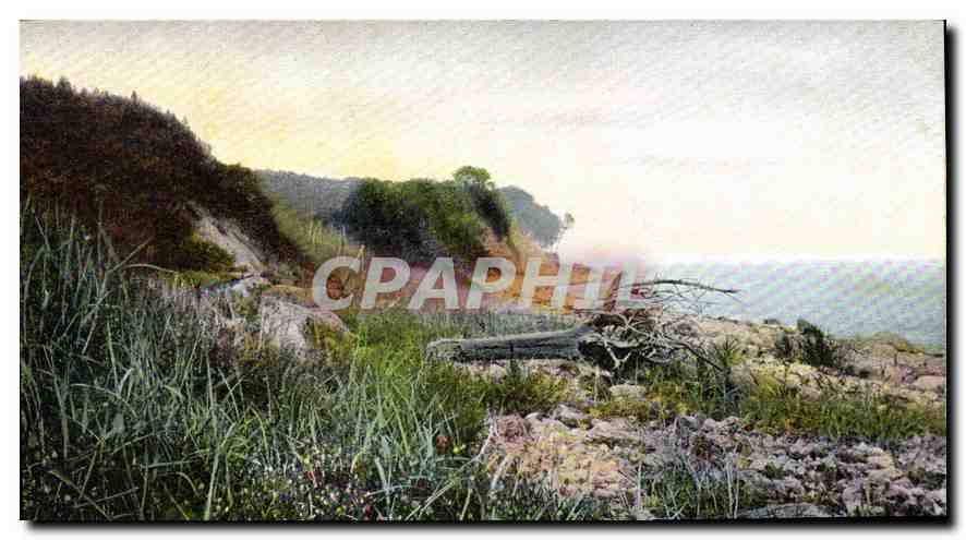 CPA Arbre
