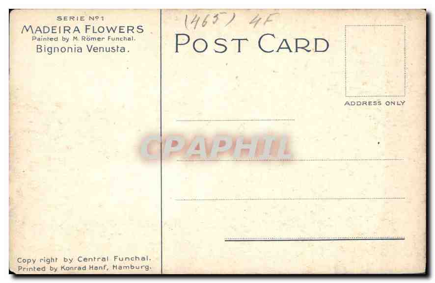 CPA Madeira Flowers Bigonia Venusta  Fleurs — Back