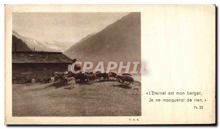 CPA l'Eternel est mon berger Je ne manquerai de rien Moutons