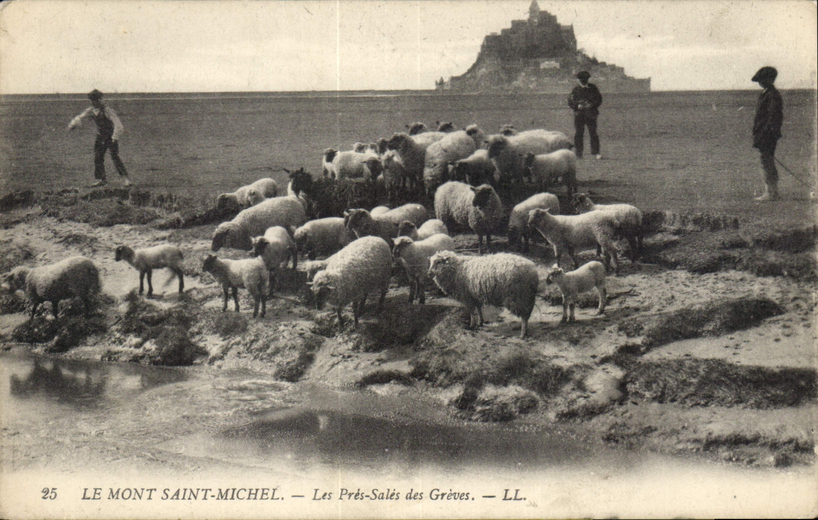 El Monte Santo Michel — Los Prés-Salés des Grèves — LL. n°25