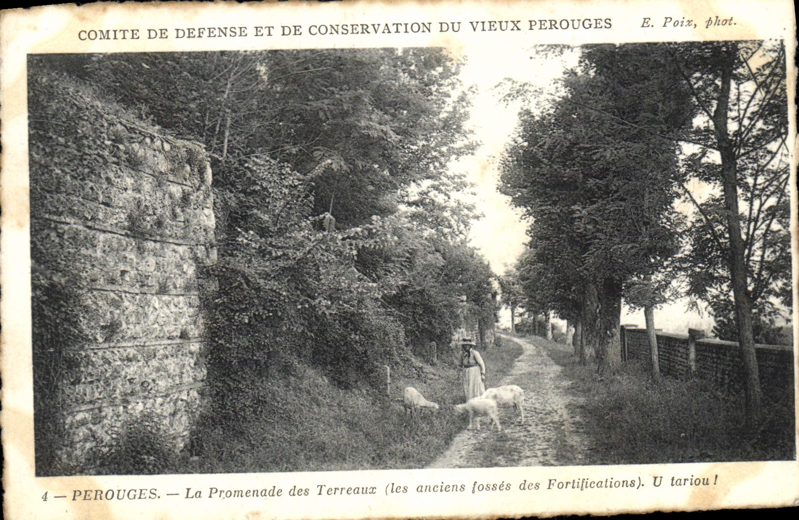 CPA Comite de defense et de Conservation du Vieux Perouges Perouges La Promenade des Terreaux les an