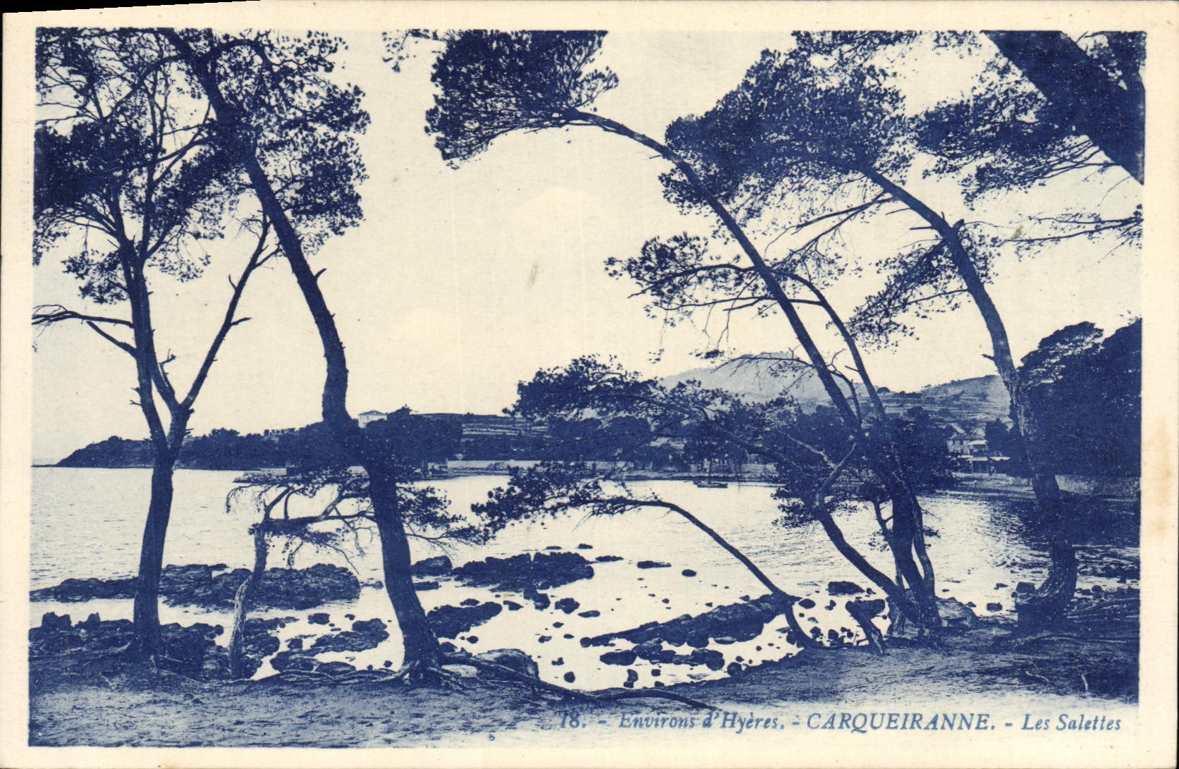 CPA Environs d'Hyeres Carqueiranne Les Salettes 